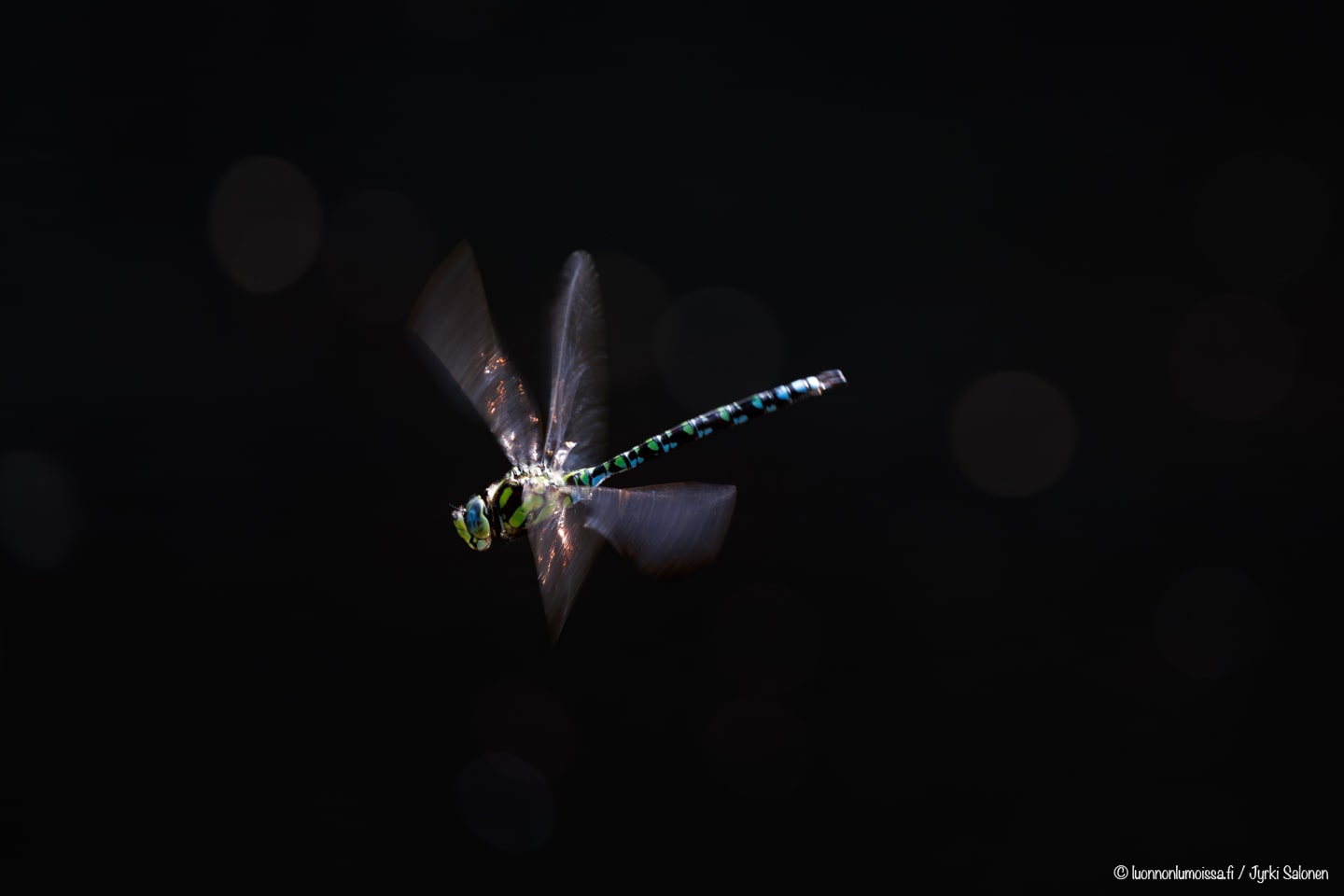 Oi aikoja, oi tapoja